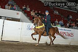 07Buckeye_0680 proof