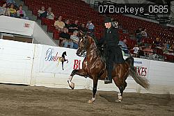 07Buckeye_0685 proof