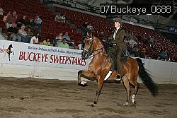07Buckeye_0688 proof