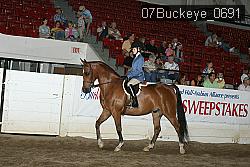 07Buckeye_0691 proof