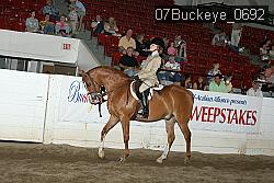 07Buckeye_0692 proof