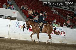 07Buckeye_0695 proof
