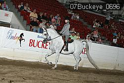 07Buckeye_0696 proof