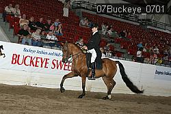 07Buckeye_0701 proof