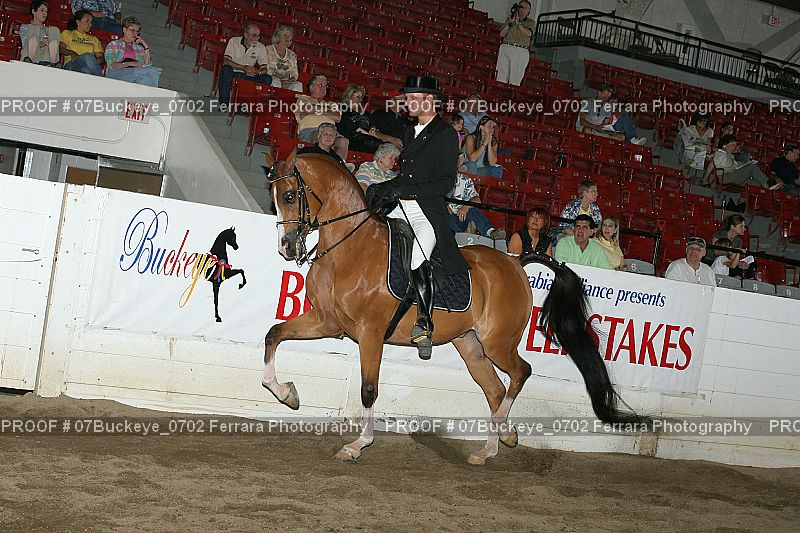 Proof 07Buckeye_0702