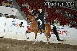 07Buckeye_0702 proof