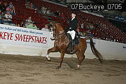 07Buckeye_0705 proof