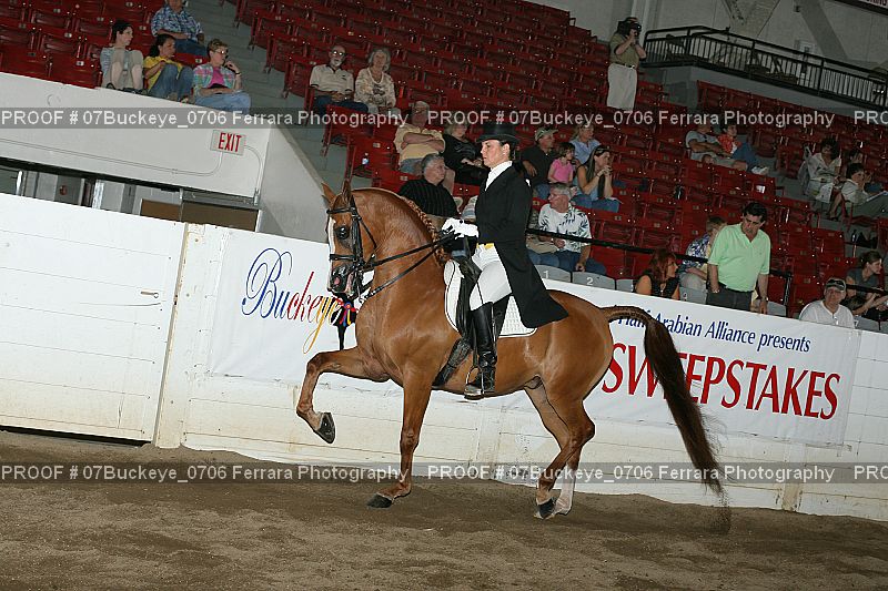 Proof 07Buckeye_0706