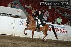 07Buckeye_0706 proof