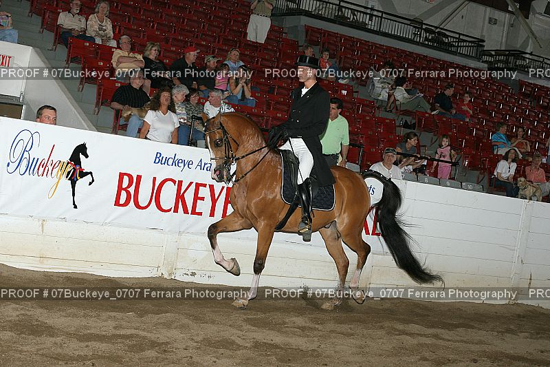 Proof 07Buckeye_0707