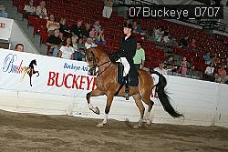 07Buckeye_0707 proof