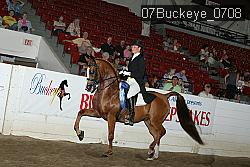 07Buckeye_0708 proof