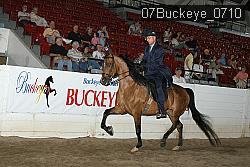 07Buckeye_0710 proof