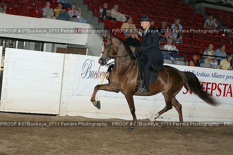 Proof 07Buckeye_0711
