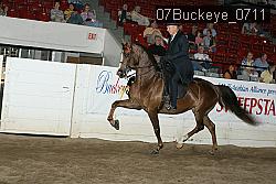 07Buckeye_0711 proof