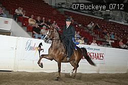 07Buckeye_0712 proof