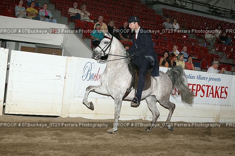 Proof 07Buckeye_0723