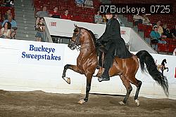 07Buckeye_0725 proof