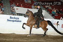 07Buckeye_0726 proof