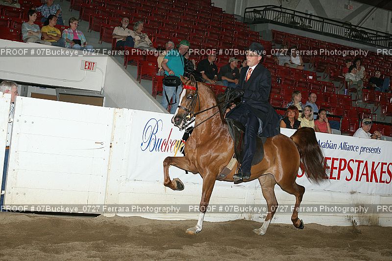 Proof 07Buckeye_0727