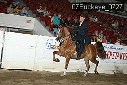 07Buckeye_0727 proof