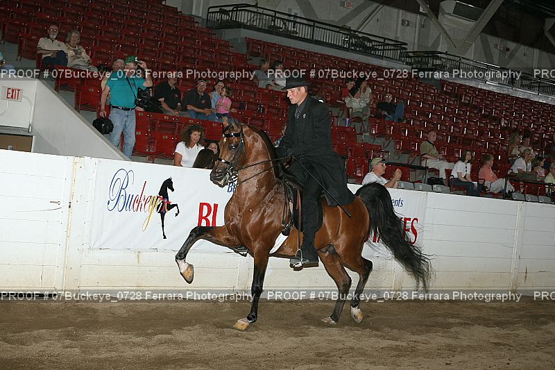 Proof 07Buckeye_0728