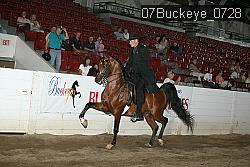 07Buckeye_0728 proof