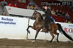 07Buckeye_0731 proof