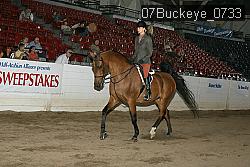 07Buckeye_0733 proof