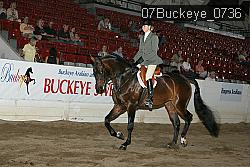 07Buckeye_0736 proof