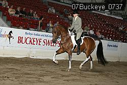 07Buckeye_0737 proof