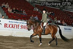 07Buckeye_0739 proof