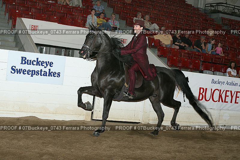 Proof 07Buckeye_0743