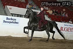 07Buckeye_0743 proof