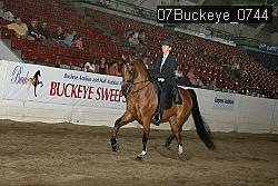 07Buckeye_0744 proof