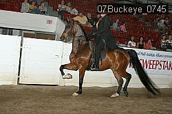 07Buckeye_0745 proof