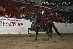 07Buckeye_0746 proof