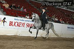 07Buckeye_0747 proof