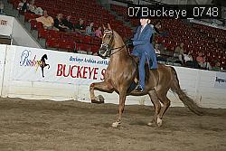 07Buckeye_0748 proof
