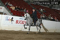 07Buckeye_0749 proof