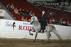 07Buckeye_0755 proof