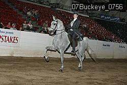 07Buckeye_0756 proof