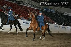 07Buckeye_0757 proof