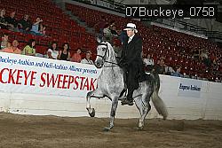 07Buckeye_0758 proof