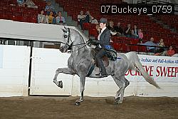 07Buckeye_0759 proof