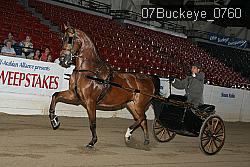 07Buckeye_0760 proof