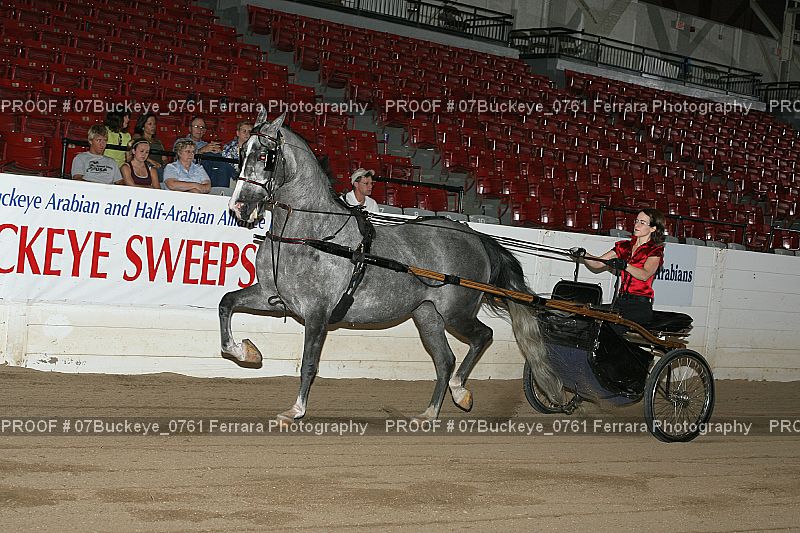 Proof 07Buckeye_0761