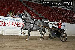 07Buckeye_0761 proof