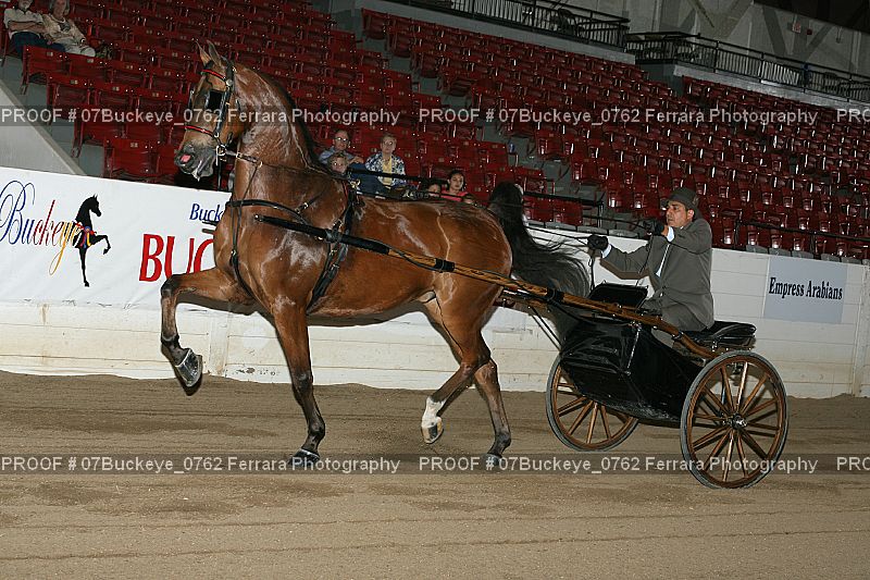 Proof 07Buckeye_0762