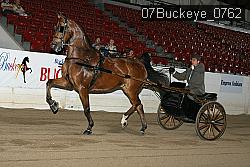 07Buckeye_0762 proof